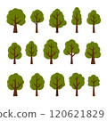 Green Leaf Trees Set on White Background. Vector 120621829