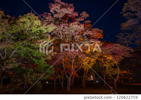 Beautiful autumn night scenery in Okayama city, Okayama prefecture, Japan 120622759