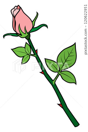 Pink rose bud. Color flower tattoo drawing Pink rose bud. Color flower tattoo drawing 120622951