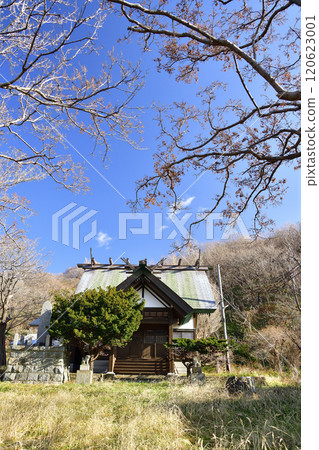 拍攝北海道八雲町熊石市北山神社境內的深秋景色 120623001