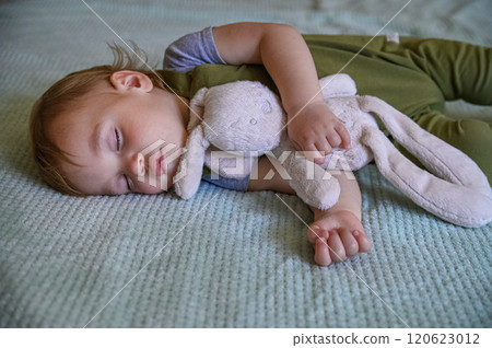 Sleeping Toddler Cuddling a Soft Plush Toy Sleeping Toddler Cuddling a Soft Plush Toy 120623012