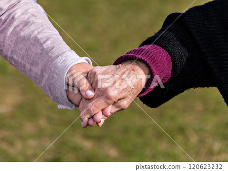 hands, woman, handshake 120623232