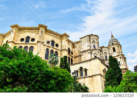 building, cathedral, church 120623320