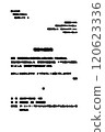 Unreadable documents (Japanese-based) 120623336