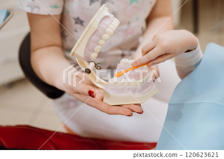 Hands on dental hygiene lesson with teeth model and toothbrush for proper oral care techniques Hands on dental hygiene lesson with teeth model and toothbrush for proper oral care techniques 120623621