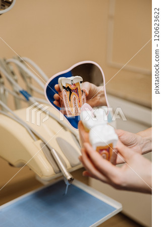 Tooth model reflection in a dental mirror highlighting oral anatomy and cavity for patient education 120623622