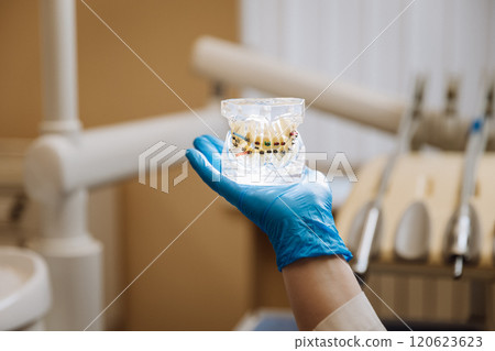 Orthodontist holding a dental braces model for patient consultation in a modern dental clinic 120623623