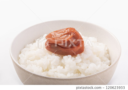 紀州南古梅米 120623933