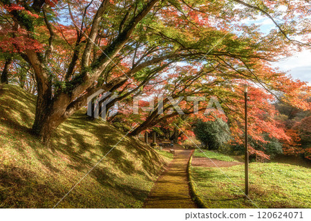 栃木縣作山禦殿山紅葉節 栃木縣作山禦殿山紅葉節 120624071