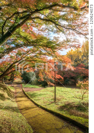 栃木縣作山禦殿山紅葉節 栃木縣作山禦殿山紅葉節 120624073