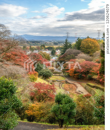 Tochigi Prefecture Sakuyama Gotenyama Autumn Leaves Festival 120624079