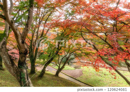 栃木縣作山禦殿山紅葉節 120624081