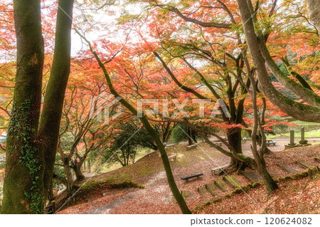 栃木縣作山禦殿山紅葉節 120624082
