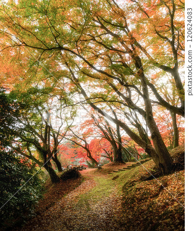 栃木縣作山禦殿山紅葉節 120624083