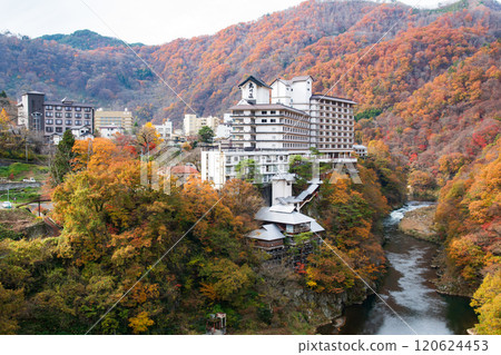 會津蘆卷溫泉鄉 會津蘆卷溫泉鄉 120624453