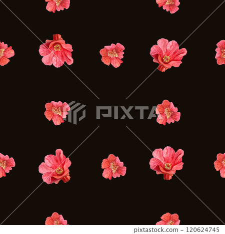 A bright red pomegranate flower watercolor seamless check pattern on black background. The hand-painted vibrant artwork perfect for botanical prints, wrapping paper, textile and decor. Clip art A bright red pomegranate flower watercolor seamless check pattern on black background. The hand-painted vibrant artwork perfect for botanical prints, wrapping paper, textile and decor. Clip art 120624745