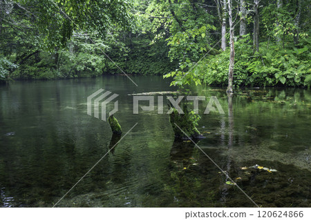 Mysterious god's pond 120624866