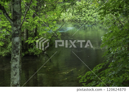 神秘的神池塘 120624870