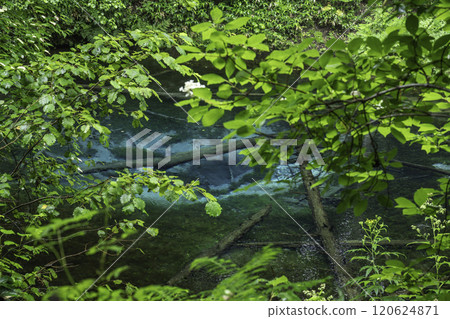 神秘的神池塘 120624871