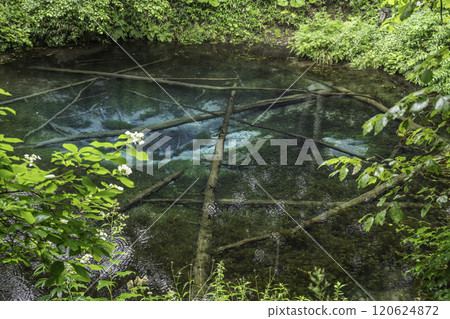 神秘的神池塘 120624872