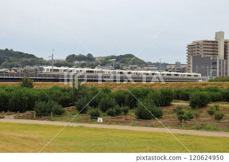 JR奈良線穿過宇治川太鼓堤壩遺址旁的鐵橋 120624950
