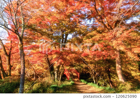 Yamatsuriyama Park with autumn leaves, Yamatsuri Town, Fukushima Prefecture 120625090