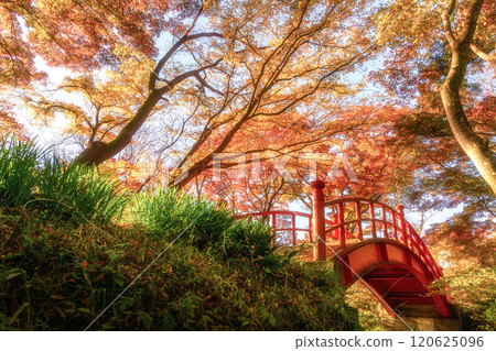 Yamatsuriyama Park with autumn leaves, Yamatsuri Town, Fukushima Prefecture 120625096