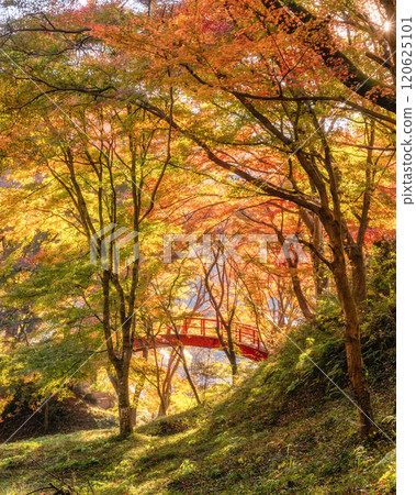 Yamatsuriyama Park with autumn leaves, Yamatsuri Town, Fukushima Prefecture Yamatsuriyama Park with autumn leaves, Yamatsuri Town, Fukushima Prefecture 120625101