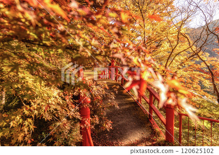 Yamatsuriyama Park with autumn leaves, Yamatsuri Town, Fukushima Prefecture Yamatsuriyama Park with autumn leaves, Yamatsuri Town, Fukushima Prefecture 120625102