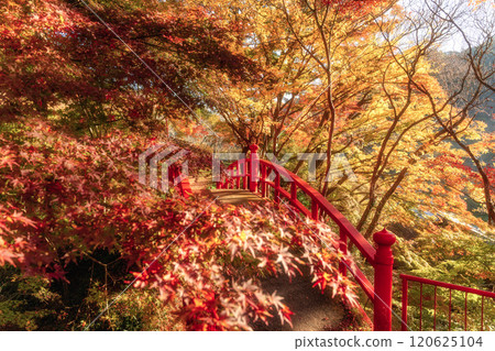 Yamatsuriyama Park with autumn leaves, Yamatsuri Town, Fukushima Prefecture Yamatsuriyama Park with autumn leaves, Yamatsuri Town, Fukushima Prefecture 120625104