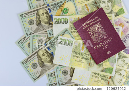 Czech Republic invests its savings when inflation occurs by purchasing dollars with its passport in Czech 120625912