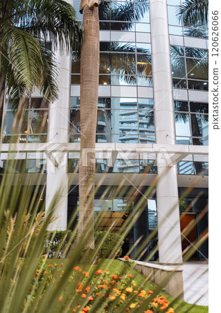 Modern building exterior with palm trees and greenery in urban setting 120626066