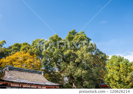 京都府八幡市 石清水八幡宮 京都府八幡市 石清水八幡宮 120626214