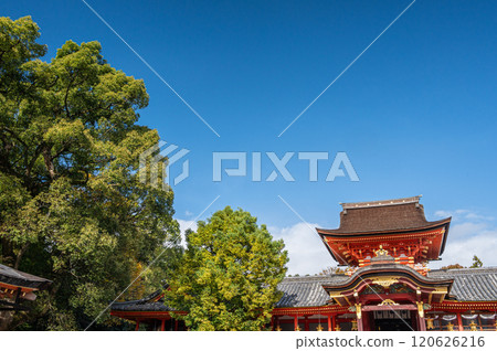 京都府八幡市 石清水八幡宮 120626216