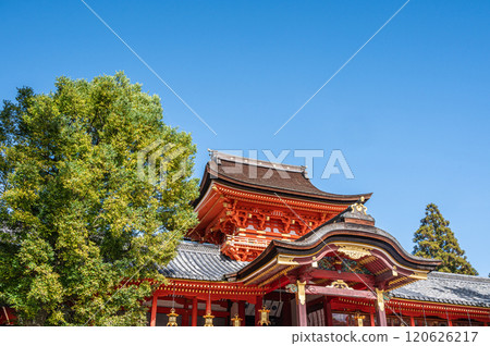 京都府八幡市 石清水八幡宮 120626217