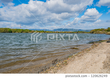 淀川風景 枚方市 120626249