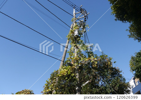 支援從照明設備到空調等各種設備的輸電線路 120626399