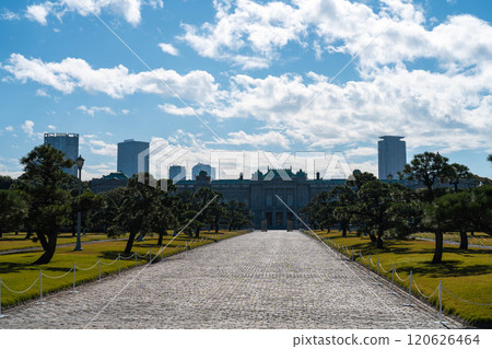赤坂皇居的花園和藍天 120626464