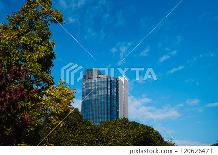 View of the city from the park View of the city from the park 120626471