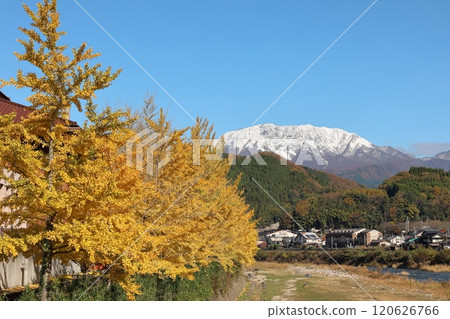 銀杏樹和大山 1 銀杏樹和大山 1 120626766