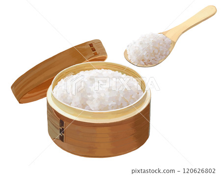 Rice Container (with rice scoop and lid) 120626802