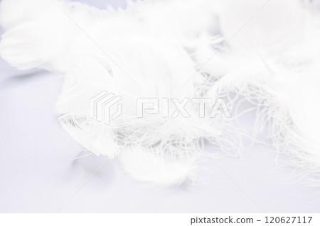 Fluffy white feather texture reminiscent of down or feather duvets Fluffy white feather texture reminiscent of down or feather duvets 120627117