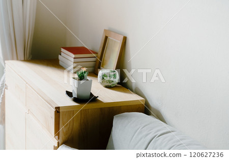 觀賞植物來裝飾您的空間 120627236