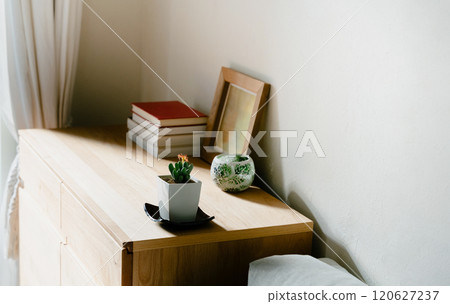 觀賞植物來裝飾您的空間 120627237