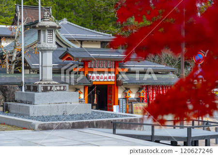Koyasan Kongobu-ji Temple: Autumn leaves and the Red Jizo Statue at Joki-in 120627246