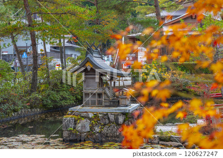 Koyasan Daishi Church Headquarters Yuzu Benzaiten surrounded by autumn leaves 120627247