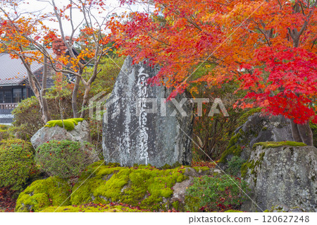Koyasan Daishi Church Headquarters: Stone monument surrounded by autumn leaves 120627248