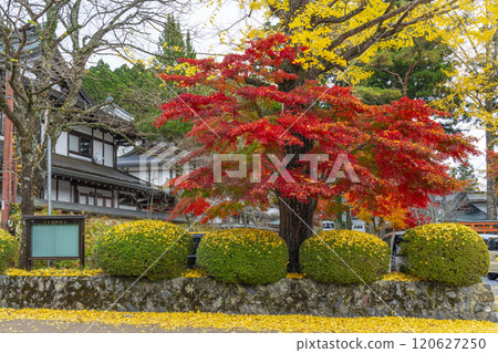 Mount Koya: Odawara Tenjin Shrine surrounded by autumn leaves Mount Koya: Odawara Tenjin Shrine surrounded by autumn leaves 120627250