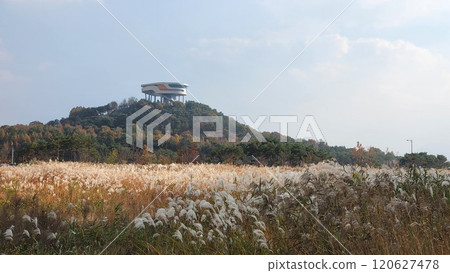 observation platform observation platform 120627478