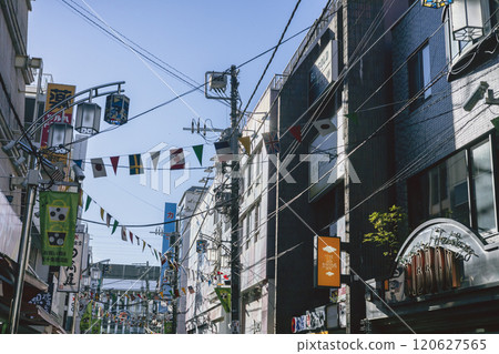 Higashijujo Shopping Street Scene 120627565